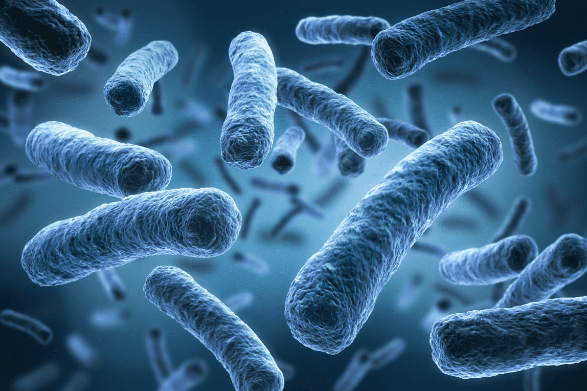 Adaptado de imagem microscópica da bactéria Legionella pneumophila